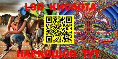 крисы Будённовск