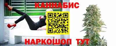 эйфоретик Гай