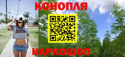 эйфоретик Гай
