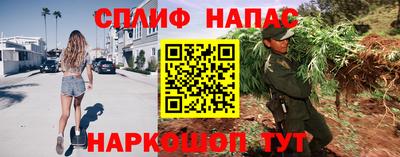 эйфоретик Гай