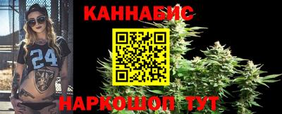 бошки Гатчина