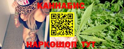 эйфоретик Гай