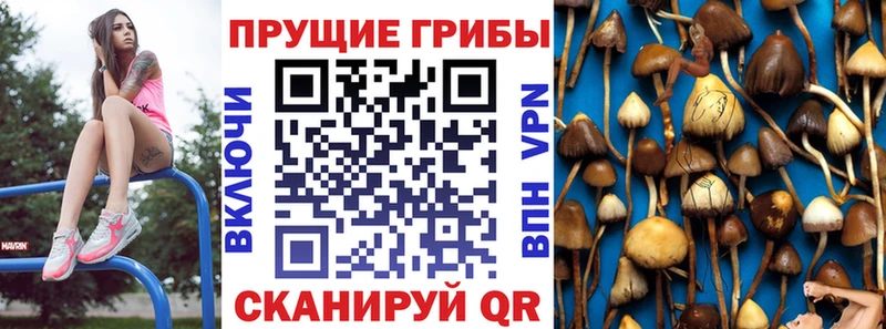 Галлюциногенные грибы Magic Shrooms  blacksprut ТОР  Ипатово  наркотики 