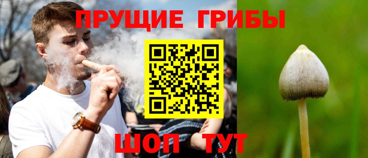 Псилоцибиновые грибы мухоморы  Галлюциногенные грибы мухоморы  Вход с VPN  Ипатово 